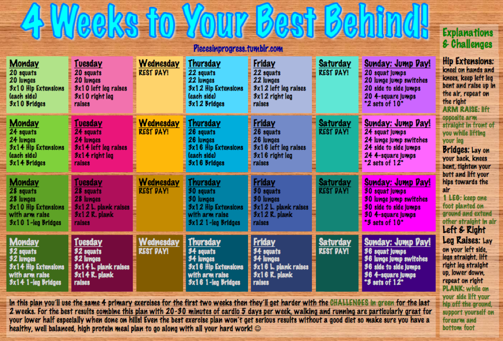 Fitness Essentials - Fitness Plan