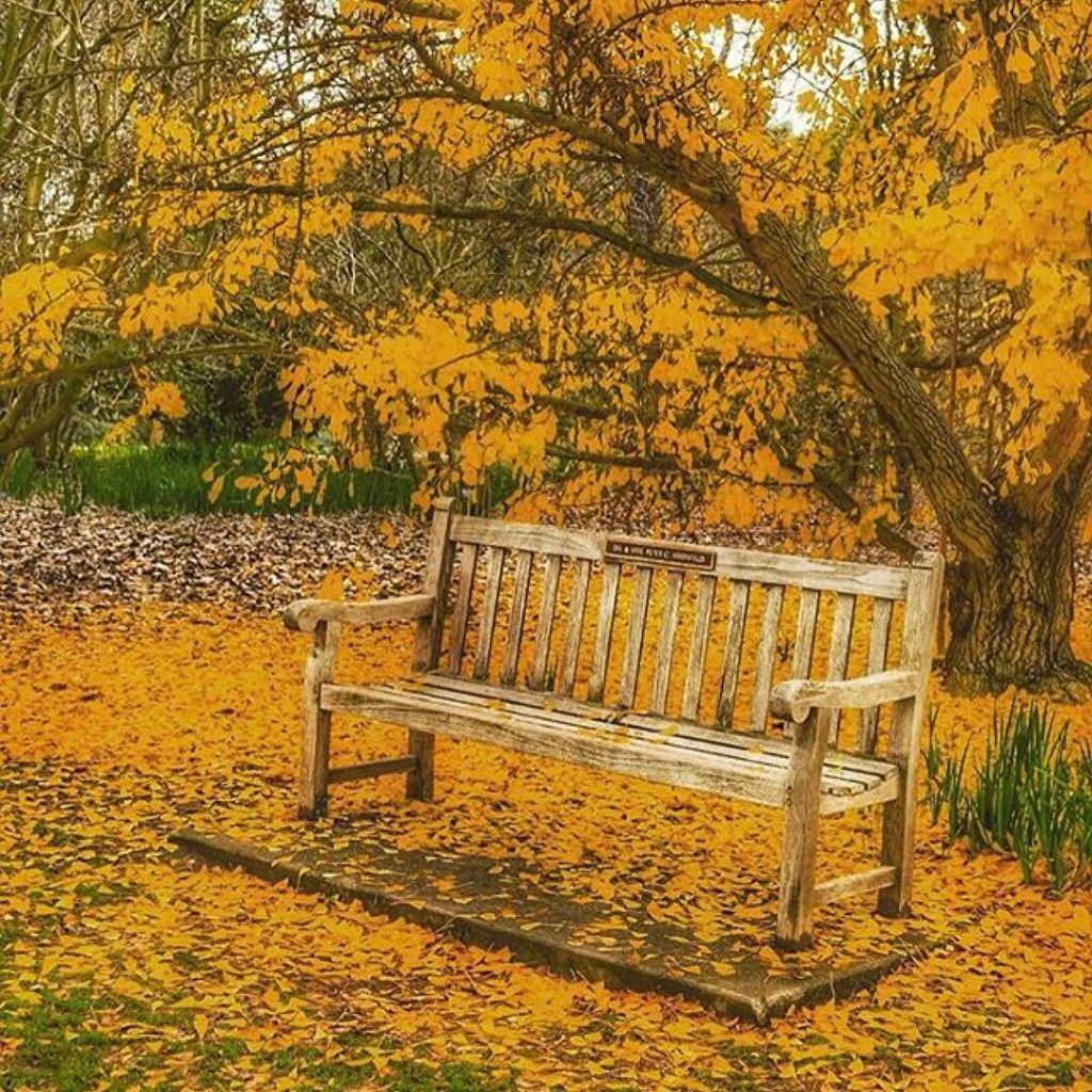 17 Awesome Things to Do in LA This Fall