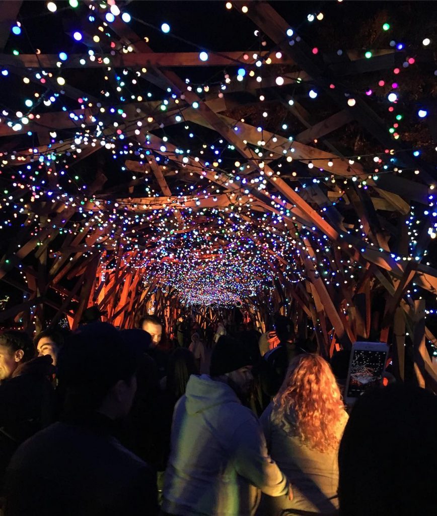 15 Awesome Things to Do in LA in November 2017 - LA Zoo Lights