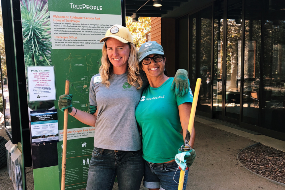 tree people girls volunteering